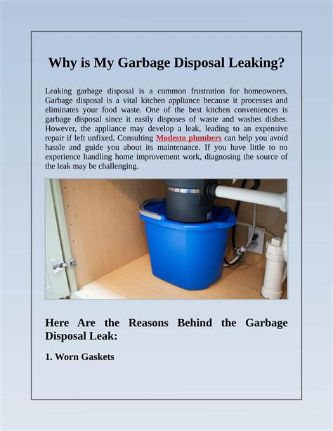 Top 5 Reasons Your Garbage Disposal Is Leaking